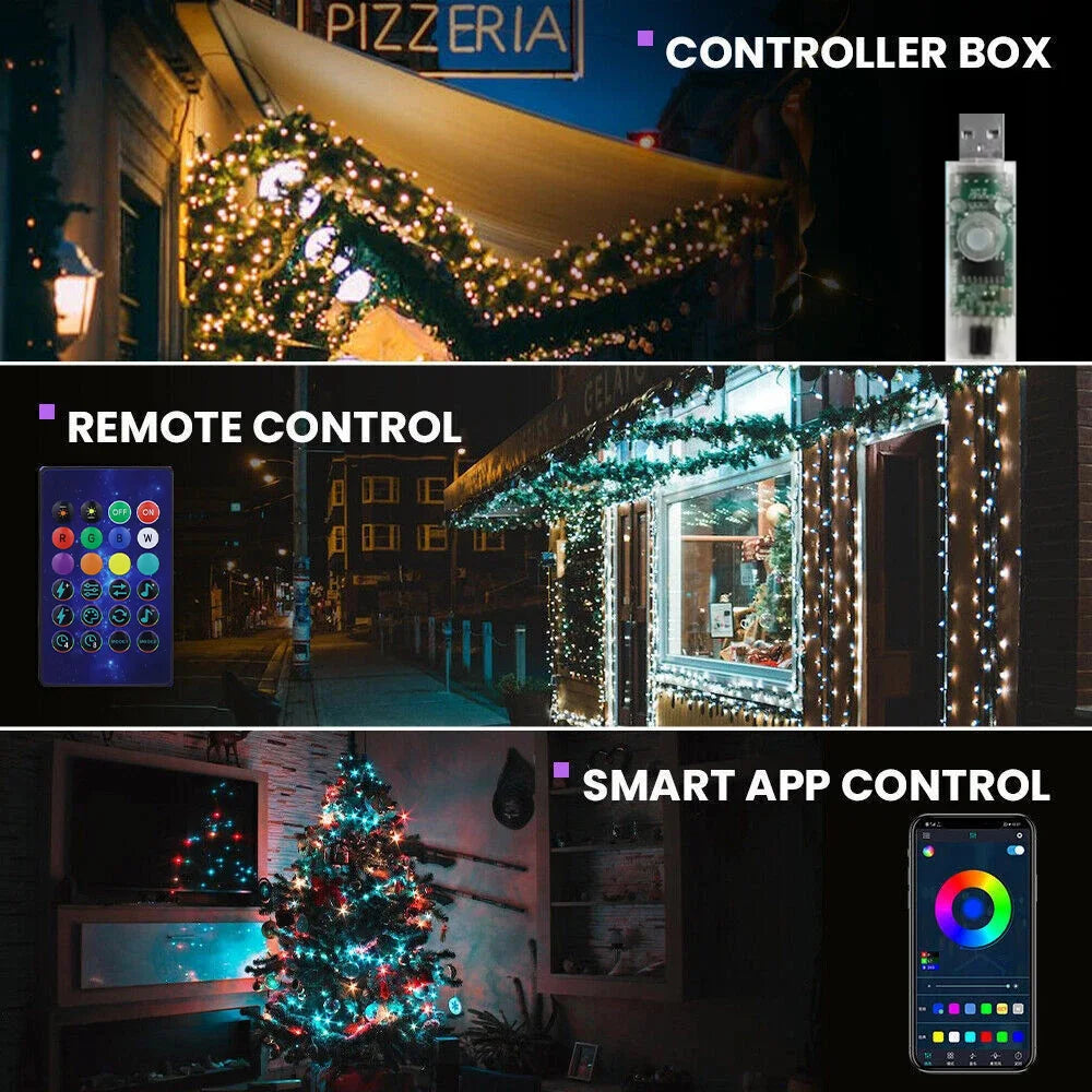 Christmas Lights and Versatile Decorations Lights