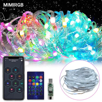 Christmas Lights and Versatile Decorations Lights